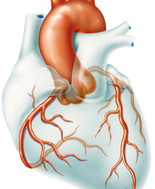 Alirocumab migliora la prognosi cardiovascolare dopo un evento coronarico acuto